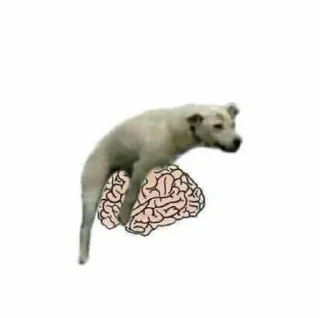Телеграм стикер 🤣 Your stickers - @my_stckers_bot