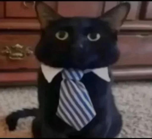 Telegram sticker 🤔 Dragos kang pack