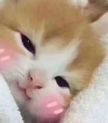 Telegram sticker 💗 Dragos kang pack