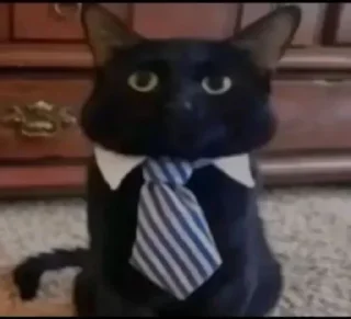 Video sticker 🤔 Dragos kang pack