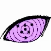 Video sticker 🧢 @iiQBot ~ جوزيف
