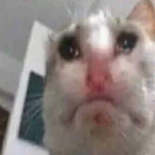 Телеграм стикер 😭 травмы :: @fStikBot