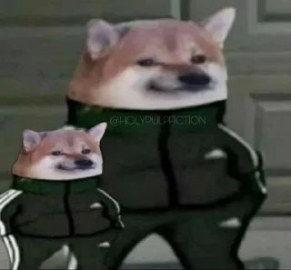 Video sticker 😐 Slav Cheems | @HolyPulpFiction