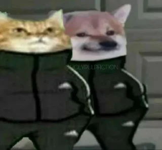 Video sticker 😐 Slav Cheems | @HolyPulpFiction