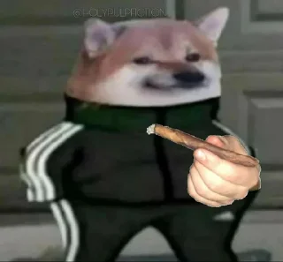 Telegram sticker 🚬 Slav Cheems | @HolyPulpFiction