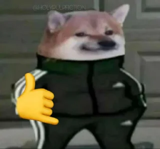 Telegram sticker 🤙 Slav Cheems | @HolyPulpFiction