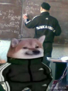 Telegram sticker 😐 Slav Cheems | @HolyPulpFiction