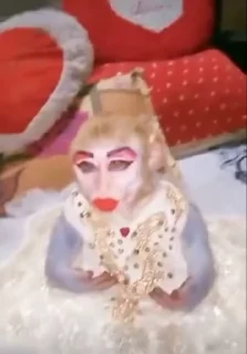 Video sticker 😎 @Jessica_Spencer YaYa & Shally