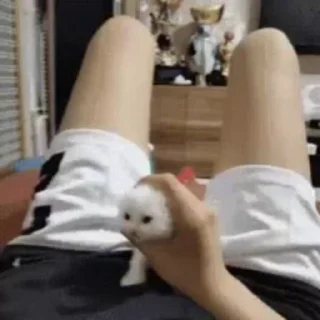 Video sticker 🎈 @LauvSama 's stolen pack :: @fStikBot