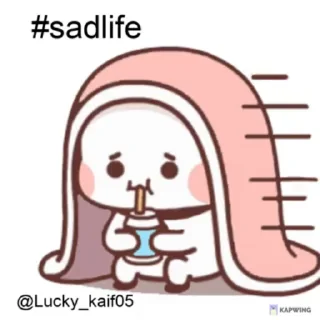 Video sticker 🥺 @Sticker_Addaa 🎀💫💐