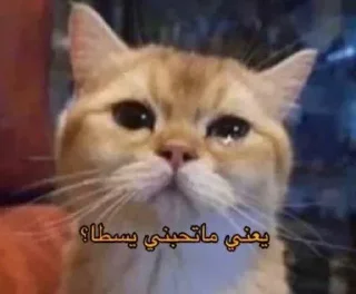 Video sticker 😢 @unreallstar