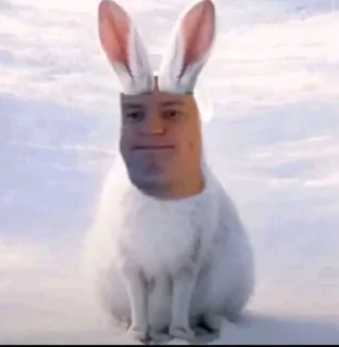 Video sticker 🤩 Бурмалдошки @kolimimi