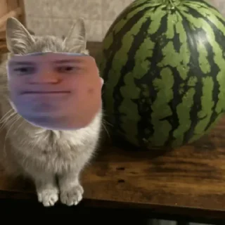 Telegram sticker 🤩 Бурмалдошки @kolimimi