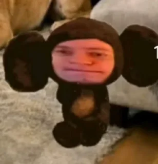 Video sticker 🤩 Бурмалдошки @kolimimi