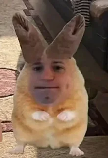 Sticker 🤩 Бурмалдошки @kolimimi