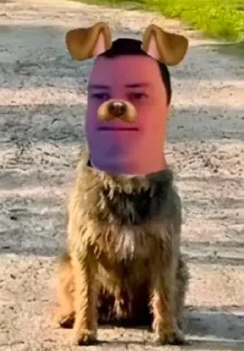 Video sticker 🤩 Бурмалдошки @kolimimi