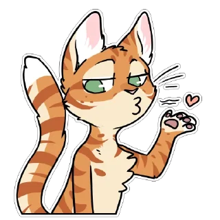 Video sticker 😘 Orange Cat by maimface