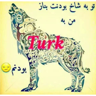 Video sticker 💕 دولپک اسماعیل(آرال)