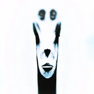 Video sticker 👽 Больше стиков тут: @stikery4