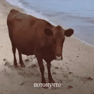 Telegram sticker 😌 Больше стиков тут: @stikery4