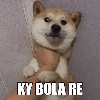 Телеграм стикер 😡 @KashyapBoy_xD || Sticker Pack #2 — @stckrRobot