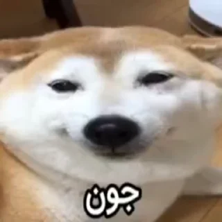 Video sticker 😉 ❮̶͟͞҈҉͓͓҃҄ͯͯͯ͜͡͝͞🔞❯̶̵̽̽͟͞ ̶̸̷̽❰ @mr_351‌ ❱ ̶͟͞❮̶̲̅͟͞҉҈̸̷͓͓֠̽̽💧̶̲