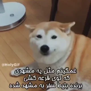 Video sticker 😢 ❮̶͟͞҈҉͓͓҃҄ͯͯͯ͜͡͝͞🔞❯̶̵̽̽͟͞ ̶̸̷̽❰ @mr_351‌ ❱ ̶͟͞❮̶̲̅͟͞҉҈̸̷͓͓֠̽̽💧̶̲