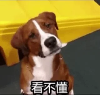 Video sticker 🌟 短信电话轰炸｜表情包 @xiatianddeye