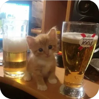 Telegram sticker 😀 Дикстир морган @SHADOW_KILL1337