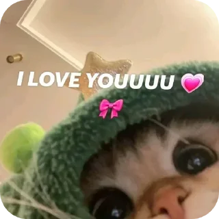 Video sticker 🤲 Meggie gal :: @fStikBot