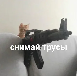 Video sticker 🔫 Больше стиков тут: @stikery4
