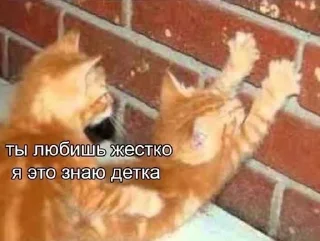 Телеграм стикер 😈 Больше стиков тут: @stikery4