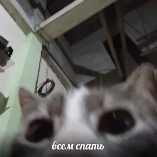 Телеграм стикер 😈 Больше стиков тут: @stikery4
