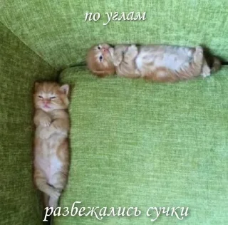 Телеграм стикер 😈 Больше стиков тут: @stikery4