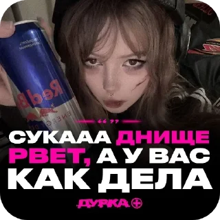 Video sticker 🖼 Я ФАНЧИК И Я НЕ ГЕЙ!!!