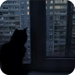 Sticker 🏙 Я ФАНЧИК И Я НЕ ГЕЙ!!!