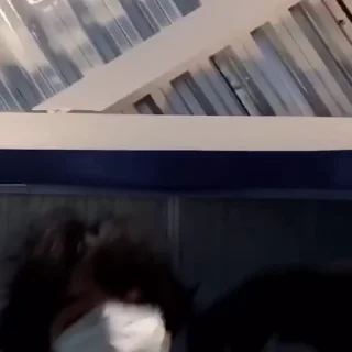 Video sticker 😊 акума @lilmuurkka :: @fStikBot