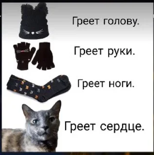 Video sticker 🌟 @stikery1 | Понос 5 степени