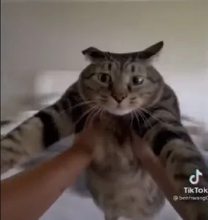 Telegram sticker 🌟 @stikery1 | Понос 5 степени