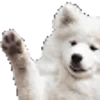 Video sticker 🐶 White random @TgEmoji