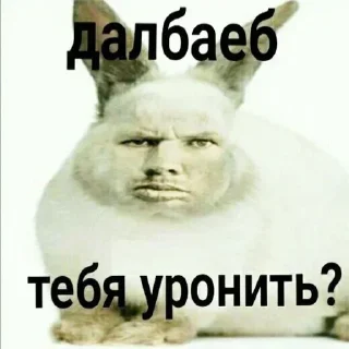 Telegram sticker 😶 Больше стиков тут: @stikery4