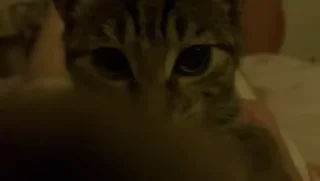 Video sticker 🎈 @unssociall by @towebmbot