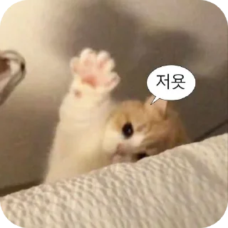 Telegram sticker 🐱 야르한 동물들