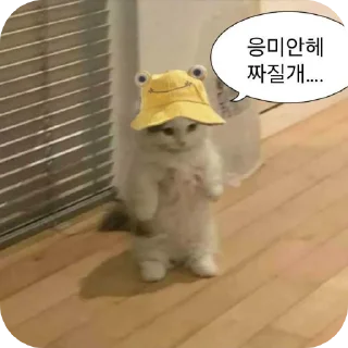 Telegram sticker 🐶 야르한 동물들