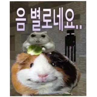 Telegram sticker 🐱 야르한 동물들