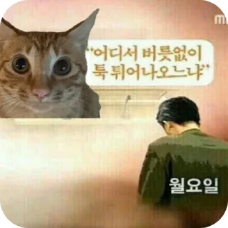 Telegram sticker 🐱 야르한 동물들