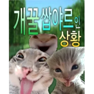 Sticker 🐱 야르한 동물들