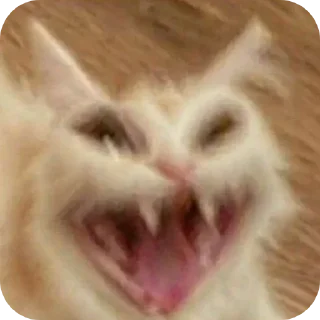 Telegram sticker 🤲 야르한 동물들