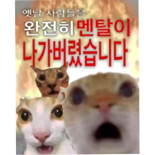 Video sticker 🐱 야르한 동물들