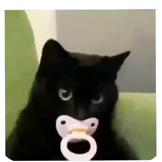Video sticker 💕 Detona